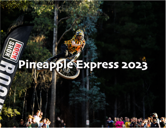 Pineapple Express 2023